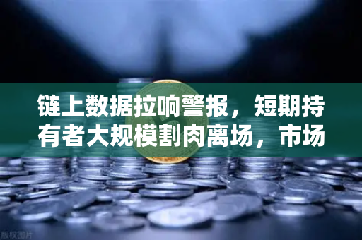 链上数据拉响警报，短期持有者大规模割肉离场，市场底在何方？