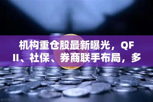机构重仓股最新曝光,QFII、社保、券商联手布局,多家涉币概念股浮出水面-第1张图片-欧易交易所 机构重仓股最新曝光,QFII、社保、券商联手布局,多家涉币概念股浮出水面-第1张图片-欧易交易所