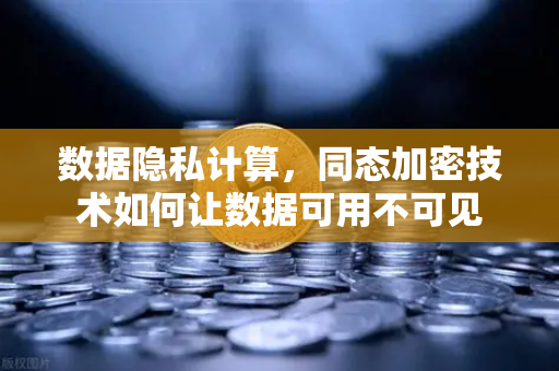 数据隐私计算，同态加密技术如何让数据可用不可见
