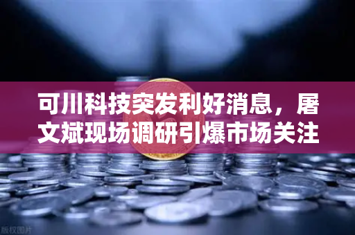 可川科技突发利好消息，屠文斌现场调研引爆市场关注