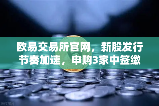 欧易交易所官网，新股发行节奏加速，申购3家中签缴款1家上市1家，投资者如何把握机遇？