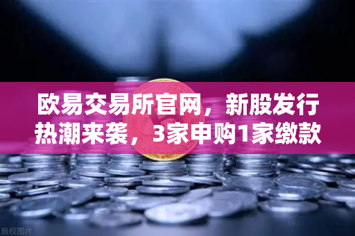 欧易交易所官网，新股发行热潮来袭，3家申购1家缴款，把握投资新机遇