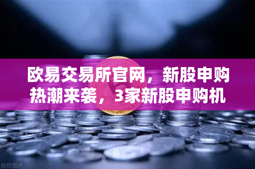 欧易交易所官网，新股申购热潮来袭，3家新股申购机会不容错过
