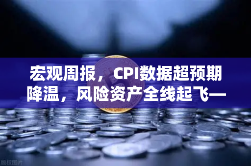 宏观周报，CPI数据超预期降温，风险资产全线起飞—市场狂欢背后的投资逻辑解析