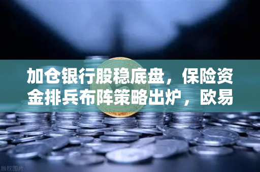 加仓银行股稳底盘，保险资金排兵布阵策略出炉，欧易交易所官网深度解读