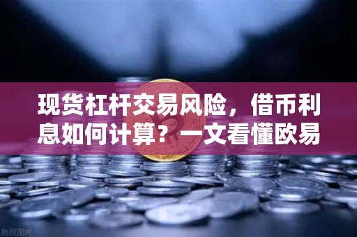 现货杠杆交易风险,借币利息如何计算?一文看懂欧易交易所的核心机制-第1张图片-欧易交易所 现货杠杆交易风险,借币利息如何计算?一文看懂欧易交易所的核心机制-第1张图片-欧易交易所