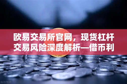 欧易交易所官网，现货杠杆交易风险深度解析—借币利息究竟如何计算？
