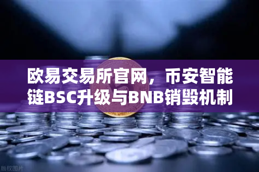 欧易交易所官网，币安智能链BSC升级与BNB销毁机制如何引爆价格暴涨？
