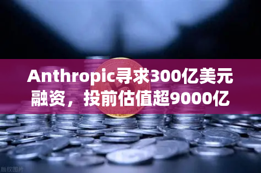 Anthropic寻求300亿美元融资，投前估值超9000亿，AI泡沫还是新起点？