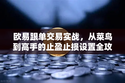 欧易跟单交易实战，从菜鸟到高手的止盈止损设置全攻略