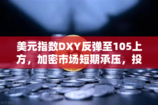 美元指数DXY反弹至105上方，加密市场短期承压，投资者如何应对？