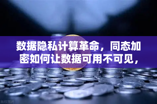 数据隐私计算革命，同态加密如何让数据可用不可见，欧易交易所的隐私守护之道