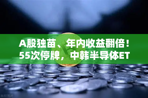 A股独苗、年内收益翻倍！55次停牌，中韩半导体ETF是机会还是坑？