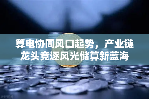 算电协同风口起势，产业链龙头竞逐风光储算新蓝海