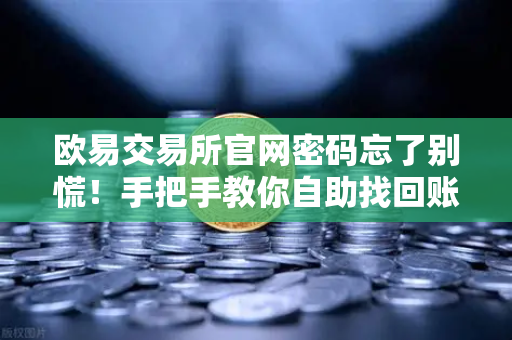 欧易交易所官网密码忘了别慌！手把手教你自助找回账号（附详细流程）-第1张图片-欧易交易所