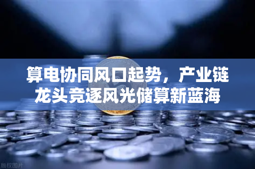 算电协同风口起势，产业链龙头竞逐风光储算新蓝海