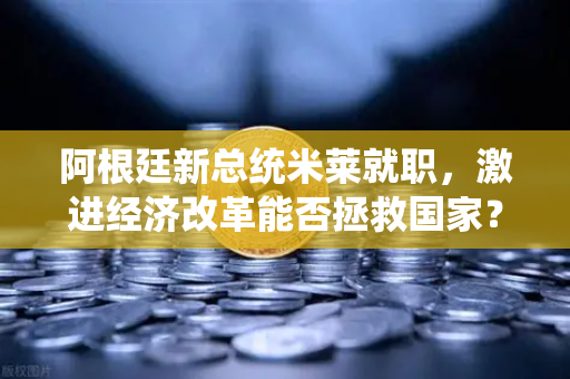 阿根廷新总统米莱就职，激进经济改革能否拯救国家？从欧易交易所官网看全球金融市场波动-第1张图片-欧易交易所