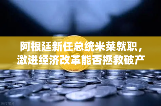 阿根廷新任总统米莱就职，激进经济改革能否拯救破产国家？-第1张图片-欧易交易所
