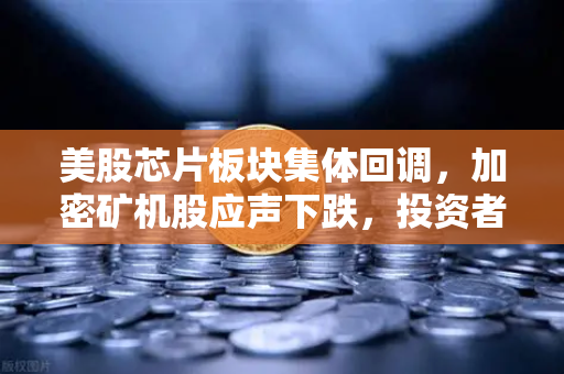 美股芯片板块集体回调，加密矿机股应声下跌，投资者在担心什么？-第1张图片-欧易交易所
