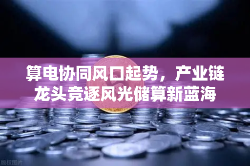 算电协同风口起势，产业链龙头竞逐风光储算新蓝海