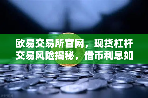 欧易交易所官网，现货杠杆交易风险揭秘，借币利息如何计算？-第1张图片-欧易交易所