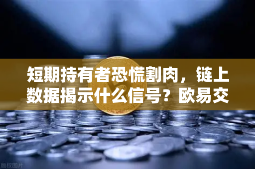 短期持有者恐慌割肉，链上数据揭示什么信号？欧易交易所官网解读行情拐点-第1张图片-欧易交易所
