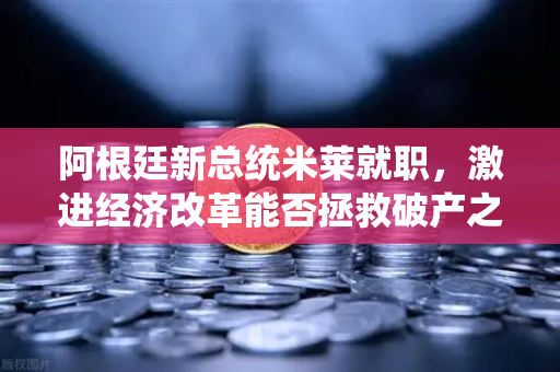 阿根廷新总统米莱就职，激进经济改革能否拯救破产之国？欧易交易所官网深度解析-第1张图片-欧易交易所