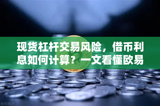 现货杠杆交易风险，借币利息如何计算？一文看懂欧易交易所的核心规则-第1张图片-欧易交易所