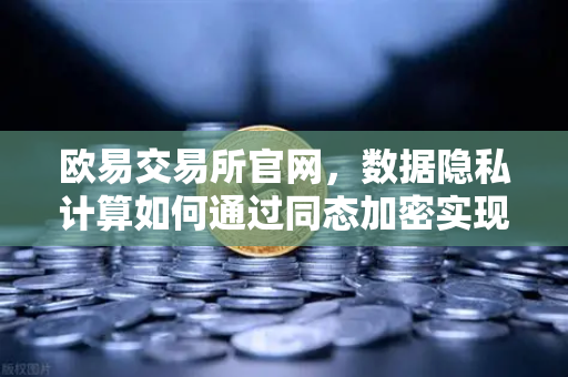 欧易交易所官网，数据隐私计算如何通过同态加密实现可用不可见-第1张图片-欧易交易所