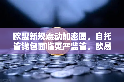 欧盟新规震动加密圈，自托管钱包面临更严监管，欧易用户如何应对？-第1张图片-欧易交易所