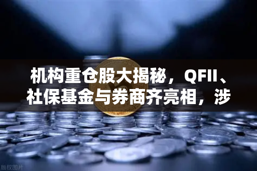 机构重仓股大揭秘，QFII、社保基金与券商齐亮相，涉币概念股成新宠