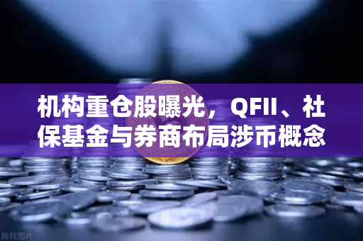 机构重仓股曝光，QFII、社保基金与券商布局涉币概念股，欧易交易所下载需求激增-第1张图片-欧易交易所