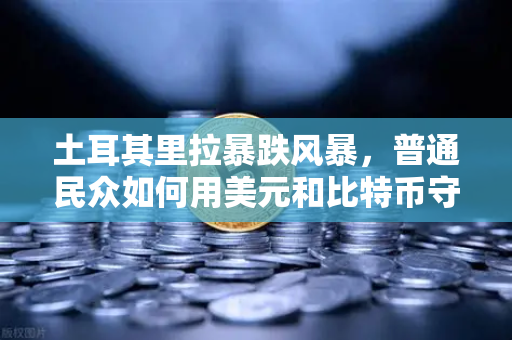 土耳其里拉暴跌风暴，普通民众如何用美元和比特币守住钱袋子？