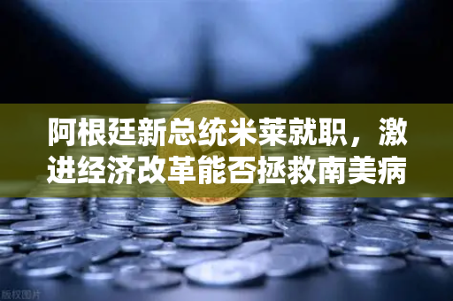 阿根廷新总统米莱就职，激进经济改革能否拯救南美病夫？欧易交易所用户热议政策风暴