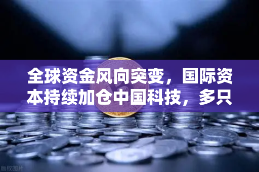 全球资金风向突变，国际资本持续加仓中国科技，多只海外ETF规模激增，亚洲成新避风港