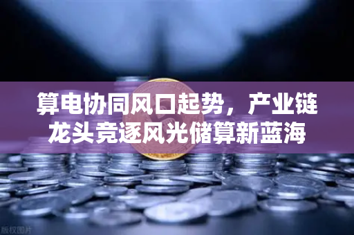 算电协同风口起势，产业链龙头竞逐风光储算新蓝海