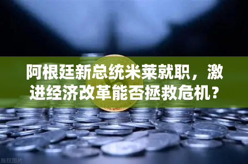 阿根廷新总统米莱就职，激进经济改革能否拯救危机？深度解读与未来展望