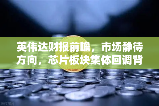 英伟达财报前瞻，市场静待方向，芯片板块集体回调背后的真相-第1张图片-欧易交易所