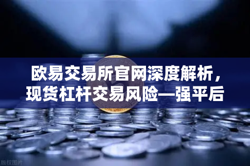 欧易交易所官网深度解析，现货杠杆交易风险—强平后你的资产会发生什么？-第1张图片-欧易交易所
