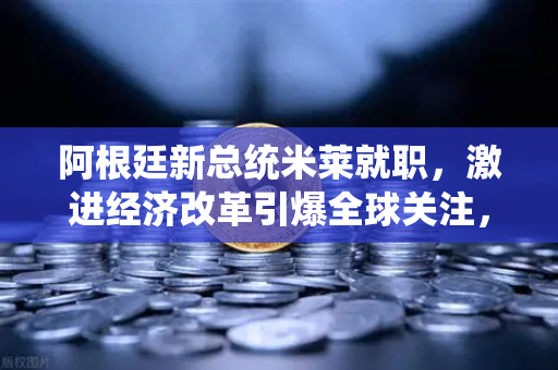 阿根廷新总统米莱就职，激进经济改革引爆全球关注，欧易交易所官网深度解读