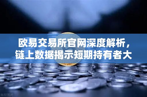 欧易交易所官网深度解析，链上数据揭示短期持有者大规模割肉离场，市场触底信号已至？-第1张图片-欧易交易所