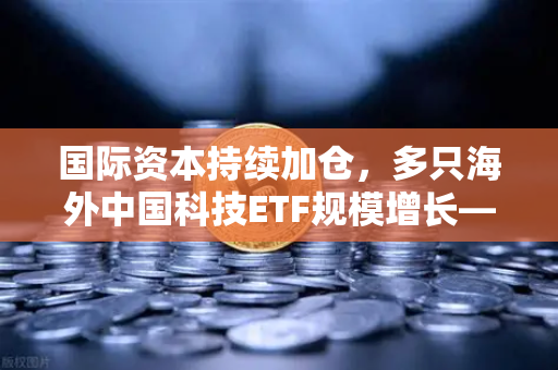 国际资本持续加仓，多只海外中国科技ETF规模增长—欧易交易所官网深度解析