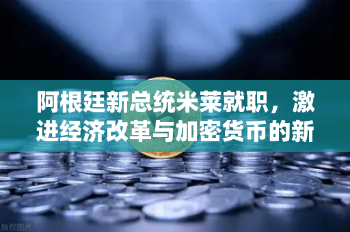 阿根廷新总统米莱就职，激进经济改革与加密货币的新机遇
